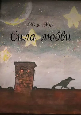 Жози Мун Сила любви обложка книги