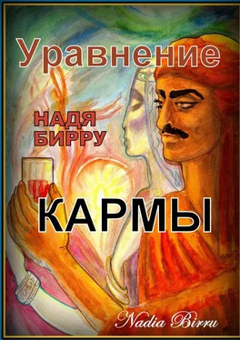 Надя Бирру Уравнение кармы обложка книги