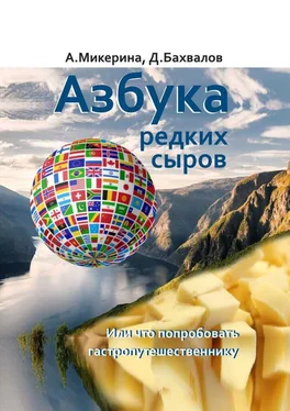 Анеля Микерина Азбука редких сыров. Или что попробовать гастропутешественнику обложка книги