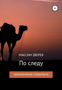 Максим Зверев По следу обложка книги