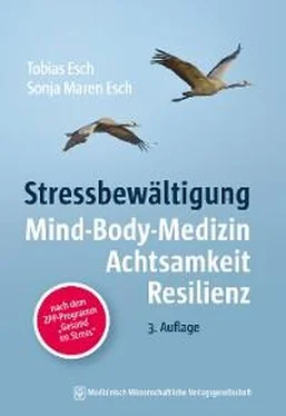 Tobias Esch Stressbewältigung обложка книги