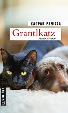 Kaspar Panizza Grantlkatz обложка книги