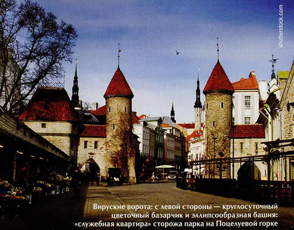 Таллин Любовь и смерть в старом городе - фото 6