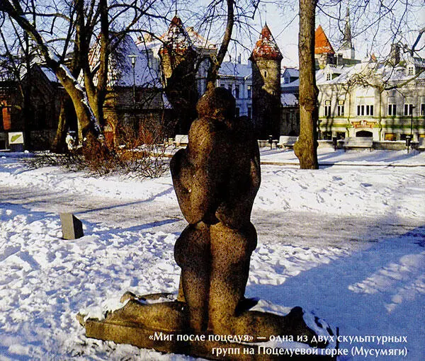 Таллин Любовь и смерть в старом городе - фото 24