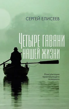 Сергей Елисеев Четыре гавани нашей жизни обложка книги