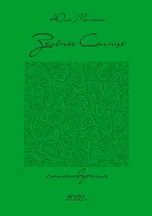 Юлия Малюта - Зелёное солнце