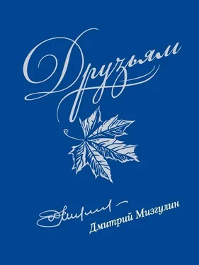 Дмитрий Мизгулин Друзьям: Сборник стихов 1980–2020 обложка книги