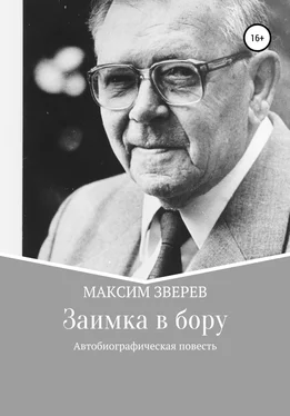 Максим Зверев Заимка в бору обложка книги