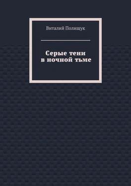 Виталий Полищук Серые тени в ночной тьме обложка книги