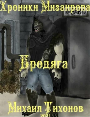 Михаил Тихонов Хроники мизантропа. Бродяга обложка книги