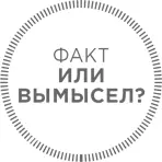 Способствуют ли углеводы увеличению веса В последнее время в мире циркулирует - фото 3