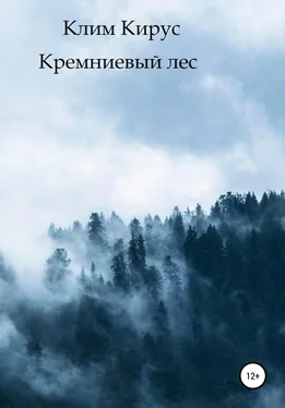 Клим Кирус Кремниевый лес обложка книги