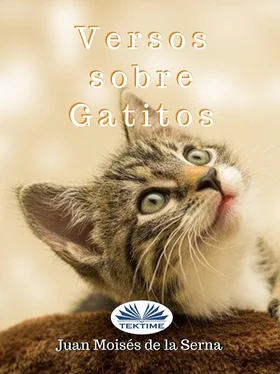 Juan Moisés De La Serna Versos Sobre Gatitos обложка книги