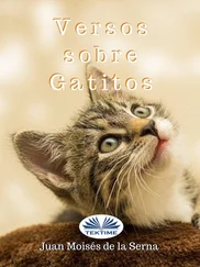 Juan Moisés De La Serna - Versos Sobre Gatitos
