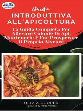 Olivia Cooper Guida Introduttiva All'Apicoltura обложка книги