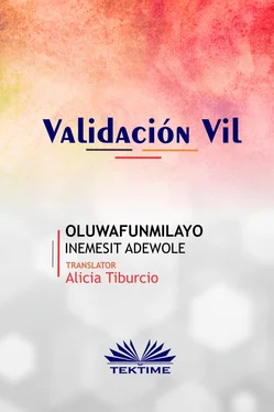 Oluwafunmilayo Inemesit Adewole Validación Vil обложка книги