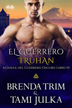 Brenda Trim El Guerrero Truhan обложка книги