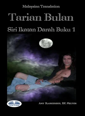 Amy Blankenship Tarian Bulan обложка книги