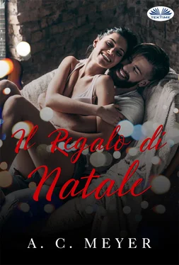 A. C. Meyer Il Regalo Di Natale обложка книги