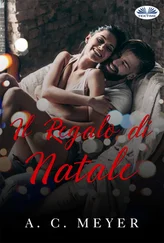 A. C. Meyer - Il Regalo Di Natale