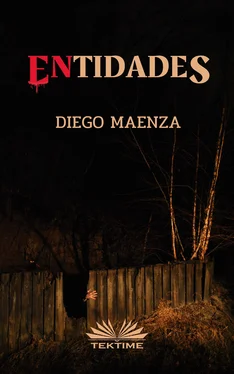 Diego Maenza ENtidades обложка книги