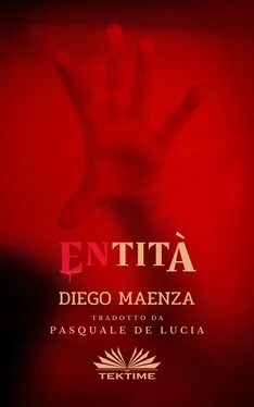 Diego Maenza ENtità обложка книги