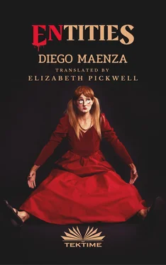 Diego Maenza ENtities обложка книги