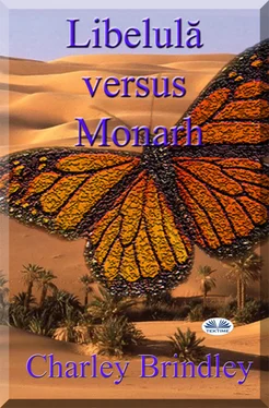 Charley Brindley Libelulă Versus Monarh обложка книги