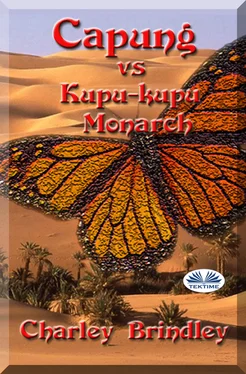 Charley Brindley Capung Vs Kupu-Kupu Monarch обложка книги