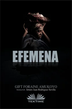 Foraine Amukoyo Gift Efemena обложка книги