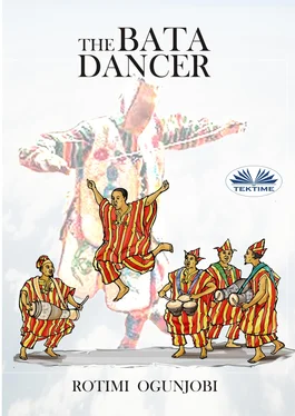 Rotimi Ogunjobi The Bata Dancer обложка книги