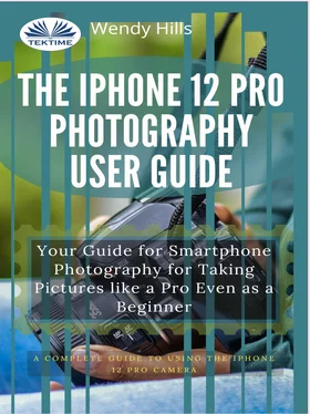 Wendy Hills The IPhone 12 Pro Photography User Guide обложка книги