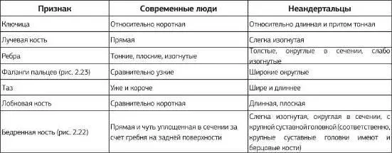 Кости неандертальских конечностей и верхних и нижних выделяются прежде - фото 14