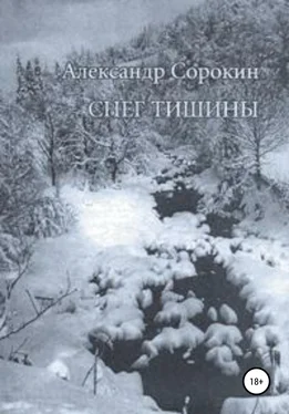 Александр Сорокин Снег тишины обложка книги