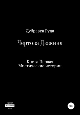 Дубравка Руда Чертова Дюжина. Книга Первая обложка книги