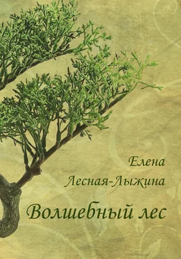 Елена Лесная-Лыжина Волшебный лес обложка книги