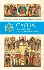 митрополит Владимир (Иким) - Слова в дни памяти особо чтимых святых. Книга восьмая. Январь, февраль