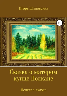 Игорь Шиповских Сказка о матёром купце Полкане обложка книги