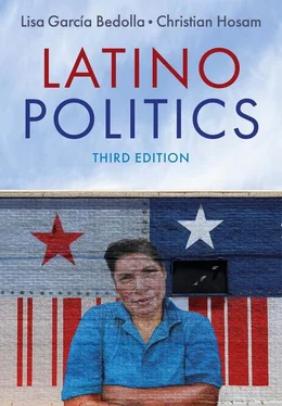 Lisa García Bedolla Latino Politics обложка книги