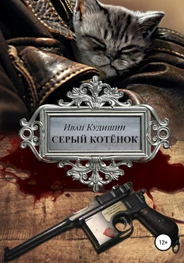 Иван Кудишин Серый котенок обложка книги