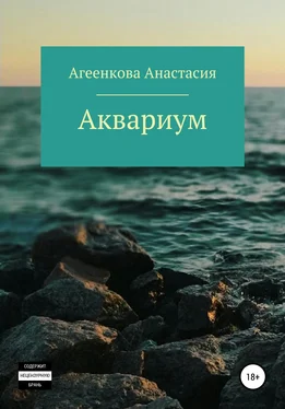 Анастасия Агеенкова Аквариум обложка книги