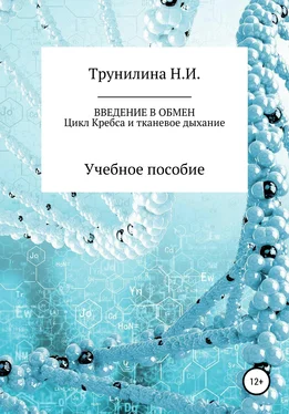 Наталья Трунилина Введение в обмен обложка книги