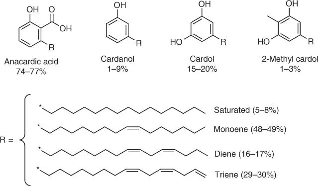 Figure 131 Schematic illustration of components of CNSL CNSL is a large and - фото 36