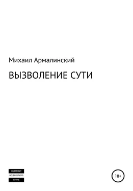 Михаил Армалинский Вызволение сути обложка книги