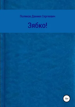 Даниил Поляков Зябко обложка книги