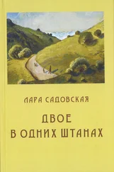 Лара Садовская - Двое в одних штанах