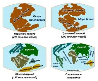 Схема формирования материков и океанов Земли Рисунок из книги А Поповой - фото 2