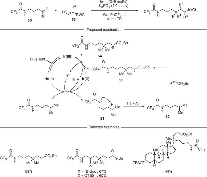 Scheme 213 Amidedirected selective CC bond formation at Csp 3H bonds - фото 51