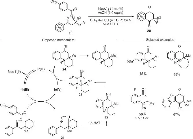 Scheme 26 Redox neutral remote functionalization of Csp 3H bonds via iminyl - фото 42