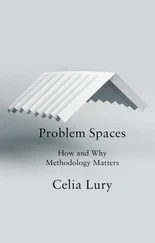 Celia Lury - Problem Spaces